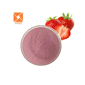 Fruit Powder Manufacturers Wholesale Bulk Organic Strawberry Juice Powder