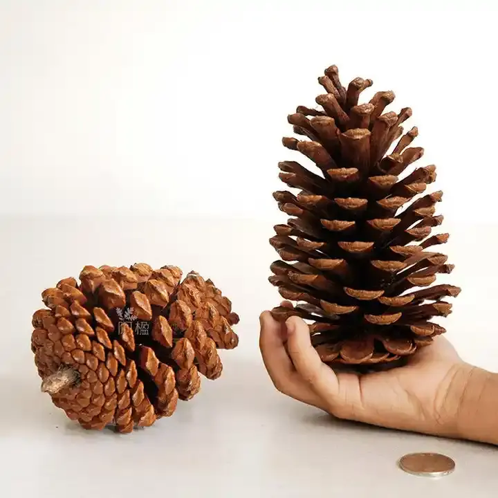 High Quality Natural Christmas Tree Hanging Wooden Mini Dried Artificial Pine Cone Pendant For Home Decoration