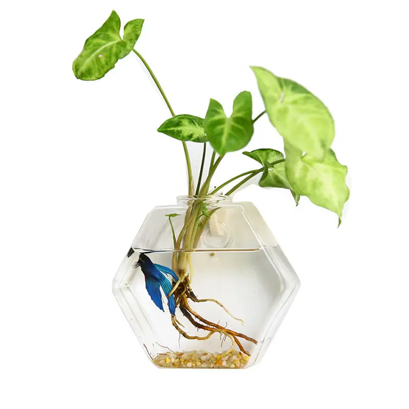 Wholesale hydroponic wall hanging transparent glass vase home decoration wall-mounted water plant glass vase