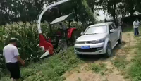 Moissonneuse de maïs ensilage montée sur tracteur à vendre