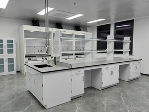 محطة عمل مخبرية معيارية - طاولة مختبر مخصصة، أثاث مختبرات، طاولة اختبار مع ملحقات - Product Image 2