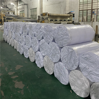 Plaques en plastique PP Centry pour fermes avicoles et tapis de fumier de volaille - Garantie 5 ans - Fabricant du Jiangsu
