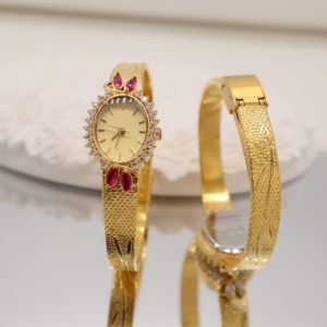 Reloj de Mujer Ovalado de Latón Chapado en Oro con Rubíes, de Lujo Vintage, de Alta Gama, con Correa de Acrílico Exquisita, de Cuarzo, Resistente al Agua - Product Image 1