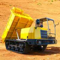Camion à benne basculante chinois Euro 5 CE EPA pour travaux de construction, jardinage, agriculture, diesel, déchargement automatique