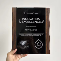 Plaque de certification en bois sculptée sur mesure avec cristal noir pour récompenses honorifiques