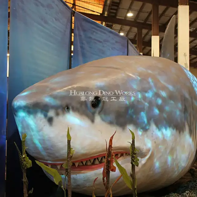 موضوع متحف الأطفال والمحيطات ، عرض متحرك ، سمك القرش Megalodon