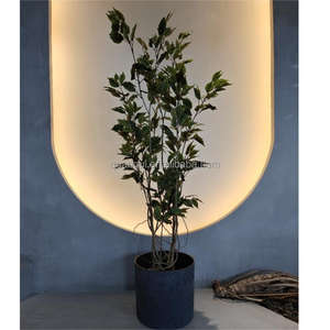 Vente en gros Offre Spéciale arbre de <span class=keywords><strong>Ficus</strong></span> artificiel bonsaï vert <span class=keywords><strong>Ficus</strong></span> arbre d'intérieur plantes artificielles <span class=keywords><strong>Ficus</strong></span> Banyan arbre artificiel à vendre - Product Image 6