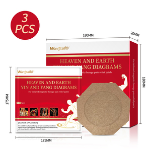 Wangtailin 8 piezas/caja 2026 Parche de hierbas chinas más vendido de fábrica para <span class=keywords><strong>aliviar</strong></span> el dolor muscular, articular y <span class=keywords><strong>lumbago</strong></span> de espalda - Product Image 2