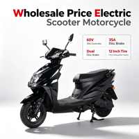 Motocicleta Eléctrica para Adultos, Scooter de Dos Ruedas, Ciclomotor para Desplazamientos, Bicicleta Eléctrica de Alta Resistencia, Venta al Por Mayor