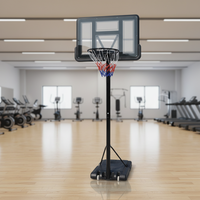 Panier de Basketball Portable pour Adultes avec Panneau Transparent en PVC de 110x75cm et Cadre en PE