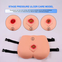 Modèle anatomique pour le soin des escarres - Quatre étapes cliniques, facilement remplaçable, en PVC avancé, pour la formation réaliste aux sutures médicales