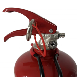 الأكثر مبيعاً 1-جهاز إطفاء آلي محمول من الفولاذ من نوع DCP ، رغوة ماء فعالة 6 من جهاز الاستنشاق بثاني الكربون لمقاتلي الحرائق - Product Image 3