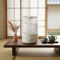 Humidificateur Électrique de Bureau à Brume Froide, Commande par Bouton, Capacité 4L, Garantie 1 An, pour Bureau et Usage Domestique, Stérilisation