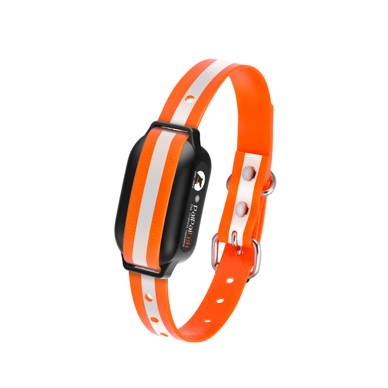 Rechargeable Plastic Fashion Electronic Dog Wireless Fence IP67 Waterproof Remote Training Collar wi