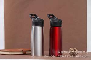 Factory Direct Supply Stainless Steel Vacuum Insulated Leak-proof Modern Design Single-layer Straw Cups Men Women Couples - Product Image 2