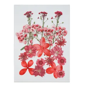 Популярный материал Ins DIY Смешанные сушеные прессованные цветы настоящий на ощупь цветочный пресс