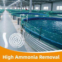 Support de filtration MBBR en HDPE vierge à biofilm rapide 0,94-0,97 g/cm³ pour le traitement des eaux en aquaculture