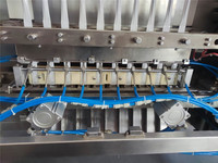 Machine d'emballage automatique multi-voies pour sachets de poudre de boisson, machine d'emballage de poudre de protéines et de lait à 6 lignes