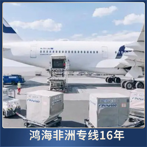 Hon Hai Africa Logistics, Transporte de Carga Marítima y Aérea LCL, África, 45 Días, 10 Días - Product Image 3