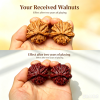 Vente en gros de noyaux de noix de Wenwan naturels pour l'exercice manuel, objets de collection, fournisseur OEM d'artisanat