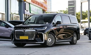 Voyah Dreamer PHEV 2025 Edición Premium Kunpeng con Tracción en las Cuatro Ruedas, Ideal <span class=keywords><strong>para</strong></span> Salidas Familiares al Aire Libre - Product Image 5