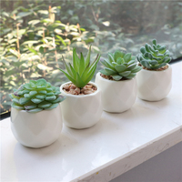 Pot en céramique blanche, plantes succulentes artificielles en plastique, mini paysage de table, décorations pour la maison et le balcon