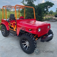 Caiteng - Jeep électrique/à essence à batterie, buggy tout-terrain, 300cc, 200cc, 350cc, 250cc, 4x4, mini jeep, chariot automatique