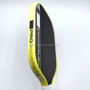 Pala de Pickleball Pro V de Carbono Crudo de 14 mm Gen5 con Control de Cara Ancha y Mango Extendido - Product Image 2