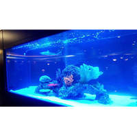 Aquarium Vertical Grand Format en Acrylique, Design de Luxe, Personnalisé, Usine Chinoise