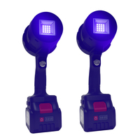 Lampe UV 365nm pour l'inspection de la peinture automobile, lampe LED ultraviolette portable rechargeable pour la détection des défauts de surface automobile
