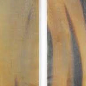 Ox Buffalo Sheep Horn Flat Plate for Eyewear Optical and <b>Frames</b> and handles Customized - Product Image 1