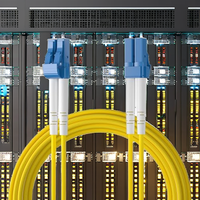 Câble de raccordement fibre optique Ipolex LC vers LC 1G/10GB OS2 Duplex 9/125µm LSZH SMF pour transceiver SFP/SFP+ 2 mètres 1 pièce