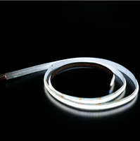 Bande lumineuse LED COB 24V 576 LED 8mm/10mm, double température de couleur 2700K+6500K, USB//Wi-Fi, télécommande