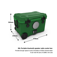 LIHENG 36L Portable Speaker Cooler Freezable Radio Leakproof Isolé Can Cooler Modern Waterproof Style for Travel Custom