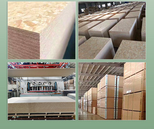 Lembaran Kayu Lapis Berkualitas Tinggi Kelas Atas Sangat Tahan Lama, Andal, dan Serbaguna untuk Kebutuhan Konstruksi - Product Image 6