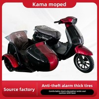 Fournisseur Fabricant de Scooter Électrique Panoramique à Side-car, Tricycle Électrique, Contrôleur de Module 1500W 40A, Capacité de Charge 110kg