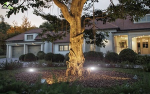 Casa Prefabricada de Acero Ligero, Duradera, Portátil y Personalizable, Estilo de Diseño Industrial, Villa de Lujo, Sala de Estar Interior/Exterior 60 - Product Image 5