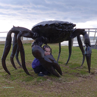 Statue de crabe en bronze au design moderne de taille personnalisée pour la décoration de jardin extérieur Grande statue animale pour paysage de style occidental