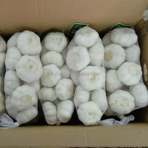 Ajo Blanco Pelado de Alta Calidad, Vegetal de la Familia Liliácea, el Mejor Alimento Fresco, Características de Blanco Puro, Origen Shandong, Tamaño 5cm - Product Image 4
