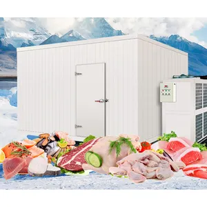 -35 Grados 10 Ton 50 Ton Sistema de refrigeración de cámara fría Refrigeración para almacenamiento en frío