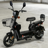 Güçlü Yüksek Hızlı 3 Vitesli Yetişkinler İçin Elektrikli Şehir Bisikleti, Büyük Kapasiteli Elektrikli Bisiklet Kurşun Asit Akülü Fırçasız Motorlu