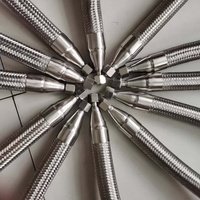 Tuyau flexible en métal tressé corrugué en acier inoxydable avec raccords filetés BSP NPT pour conduite industrielle