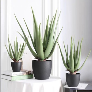 Plantas artificiales de aloe <span class=keywords><strong>vera</strong></span> <span class=keywords><strong>en</strong></span> maceta, decoración para el hogar con maceta de alta calidad, venta al por mayor - Product Image 1