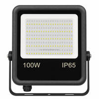 Nouvel article : Projecteurs LED bicolores vert et blanc réglables 50W 100W 12V 24V DC avec interrupteur DIP, étanches IP65