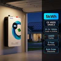 Batterie de stockage d'énergie solaire domestique murale OEM 51.2V 100Ah 205Ah 200Ah 314Ah 5kWh 10kWh 16kWh LiFePO4
