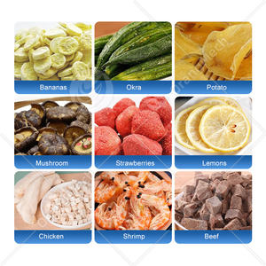 ORME Competitive Price Big Capacity 100kg Freeze Dryer Lyophilisateur Freeze Dryer Machine for Pet <b>Food</b> - Product Image 6