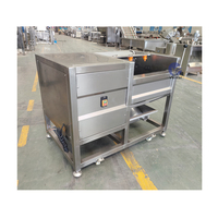 Industrie Cassave Knol Lotus Zaad Dunschiller Fruit En Groente Aardappel Wassen En Schilmachine
