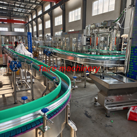 Ligne complète de traitement de jus de fruits frais entièrement automatique/ligne de production de boissons/machine de remplissage de jus