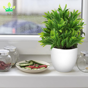 Cây trồng trong chậu nhân tạo cây nhỏ cây bạch đàn trồng trong chậu với chậu nhựa trắng cho văn phòng nhà bàn trang trí bàn - Product Image 6