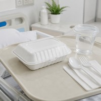 Conteneur alimentaire jetable en mousse de polystyrène PS en gros, boîte à clapet pour restaurant, boîte à emporter
